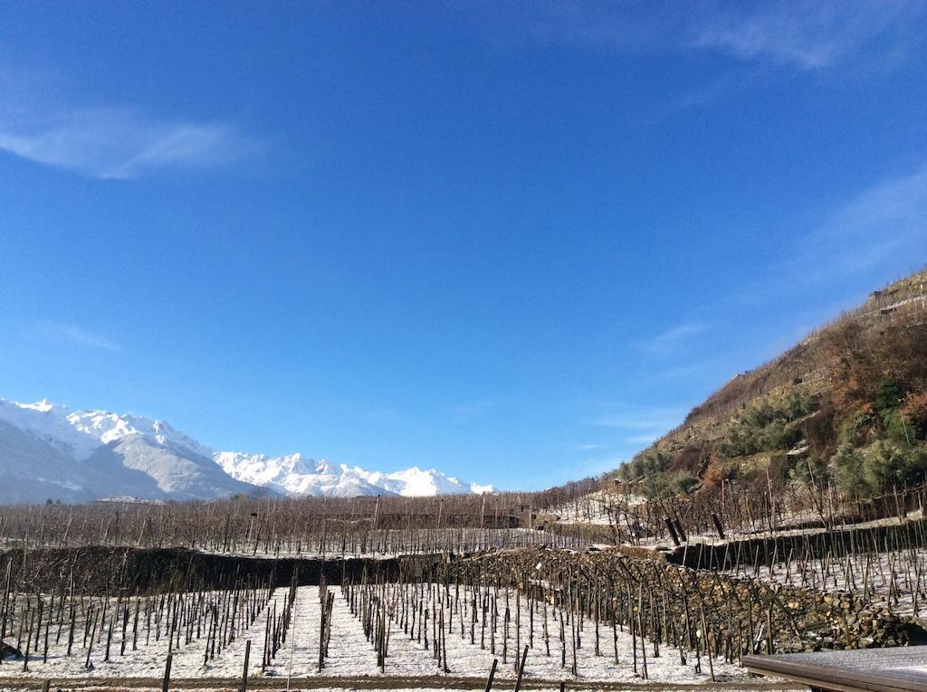 La Vita In Campagna Villa di Tirano Екстериор снимка